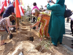 planting tree in the Negev